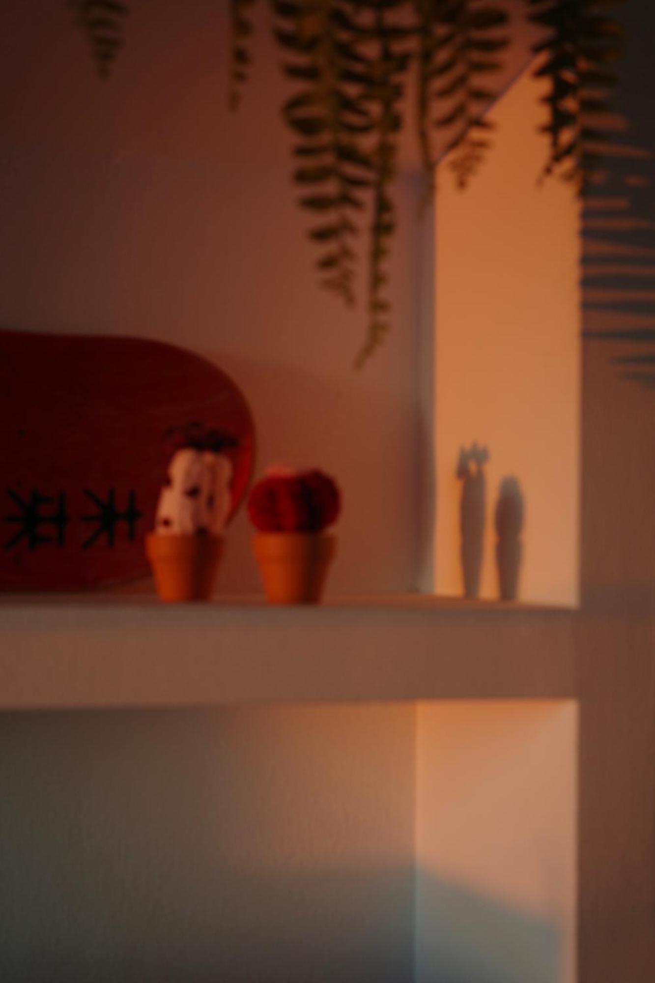 Sunset Lances - Appartement